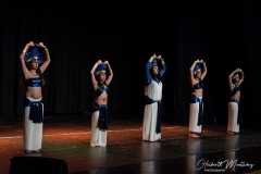 Espectaculo-Shamsa-2019-59low