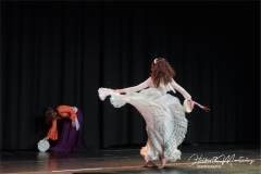 Espectaculo-Shamsa-2019-61low