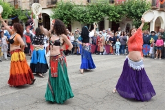 Huerta-de-Rey-2019-018-low