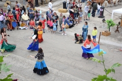 Huerta-de-Rey-2019-094-low