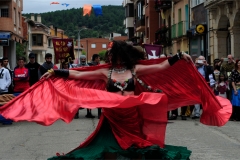 Huerta-de-Rey-2019-09low