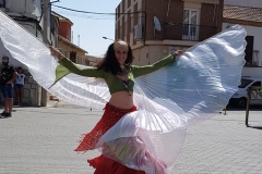 Compañía Amateur "Petite Hanin". Pasacalles