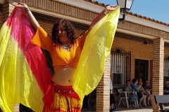 Compañía Amateur "Petite Hanin". Pasacalles