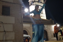 Compañía Amateur "Petite Hanin". Espectáculo Nocturno