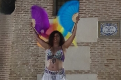 Leena Qadi, espectáculo nocturno