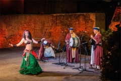 NOCHE-VIERNES-almossassa-2017-341