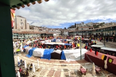 Mercado Plaza Mayor 