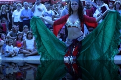 refl_f060a2b8a1e7a763fb19207bc6c4c0b6_img1142