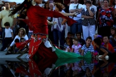 refl_f4af1b4a281482f517cba46ecb3e03a0_img0949