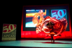 apcas-19-10-2012_208