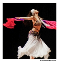 ProyectOriental 2013