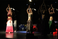 dv-sable-grupo24-low